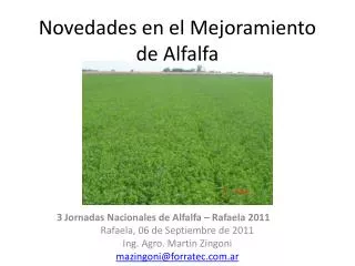 novedades en el mejoramiento de alfalfa