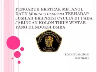 EDAH HUMAIDAH 0910710062