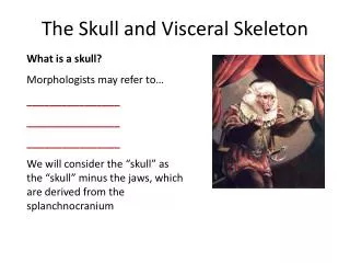 The Skull and Visceral Skeleton