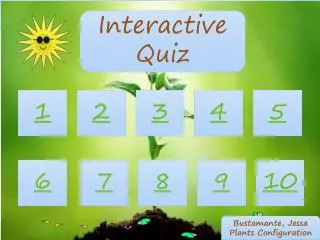 Interactive Quiz