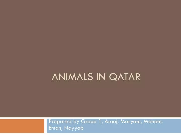 animals in qatar