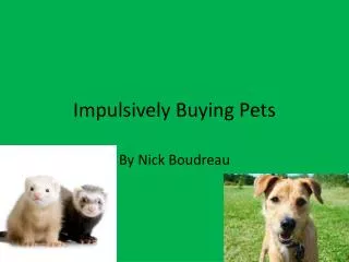 Impulsively Buying Pets