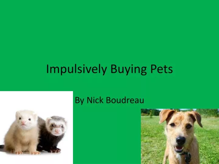 impulsively buying pets