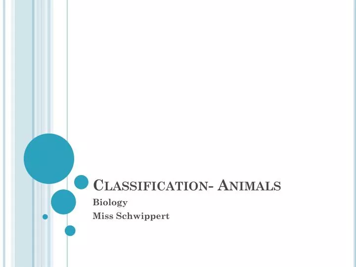 classification animals