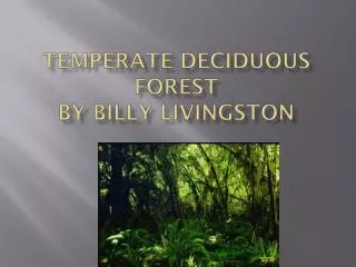 Temperate Deciduous forest By Billy Livingston