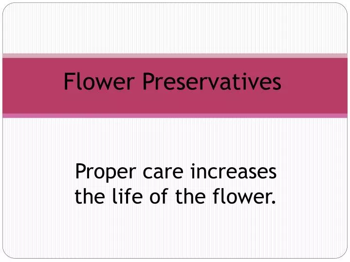 flower preservatives