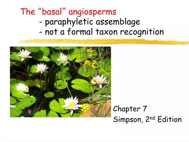 the basal angiosperms paraphyletic assemblage not a formal taxon recognition