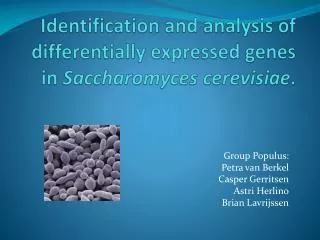 Identification and analysis of differentially expressed genes in Saccharomyces cerevisiae .