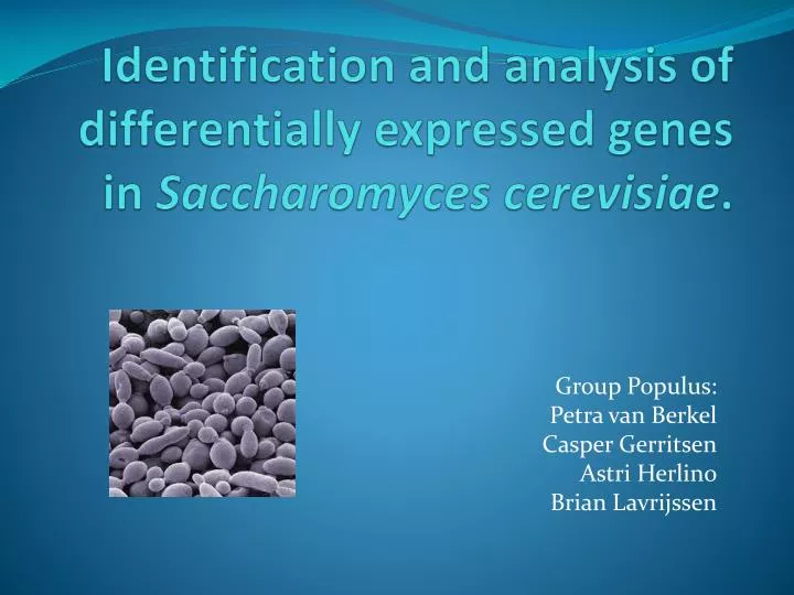 identification and analysis of differentially expressed genes in saccharomyces cerevisiae