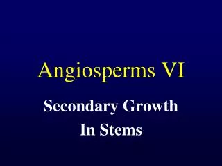 Angiosperms VI