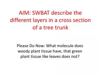 AIM: SWBAT describe the different layers in a cross section of a tree trunk