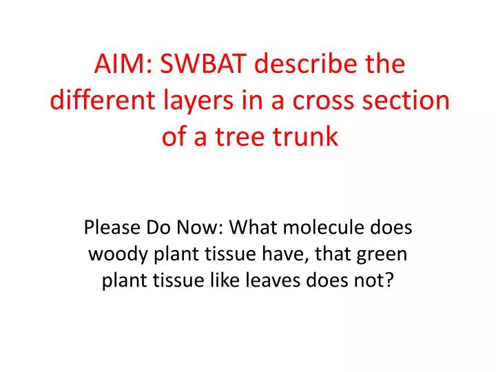 aim swbat describe the different layers in a cross section of a tree trunk