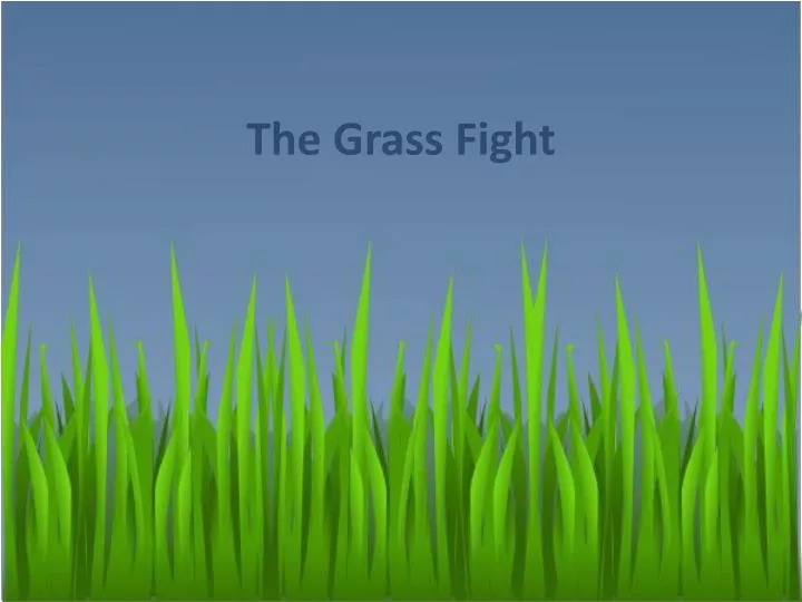 the grass fight