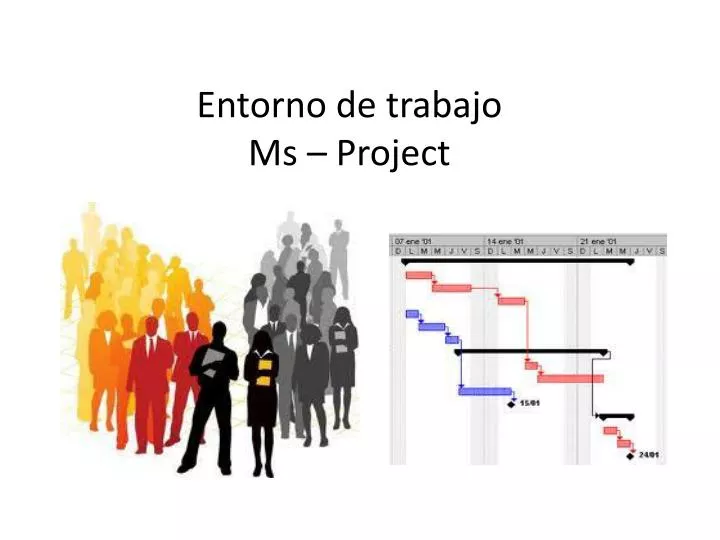 entorno de trabajo ms project