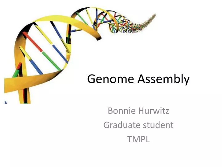 genome assembly