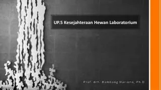 UP.5 Kesejahteraan Hewan Laboratorium
