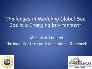 Challenges in Modeling Global Sea Ice in a Changing Environment