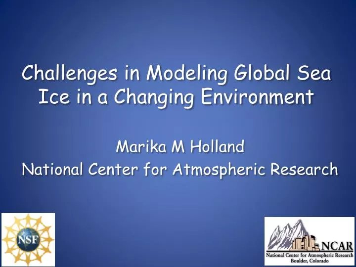 challenges in modeling global sea ice in a changing environment