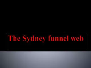 The Sydney funnel web