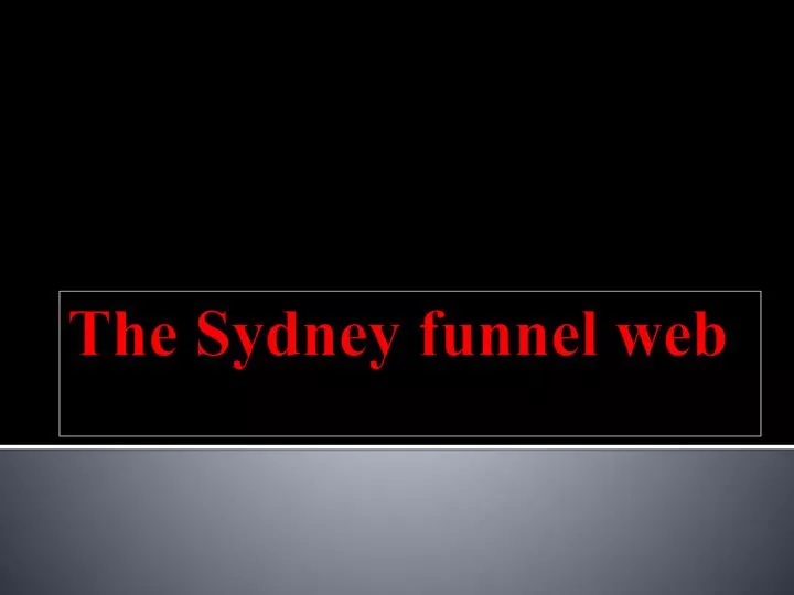 the sydney funnel web