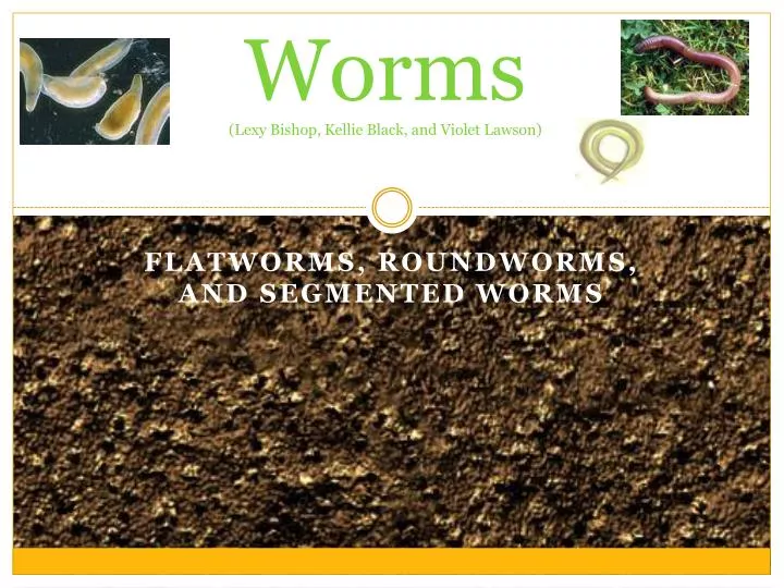 worms lexy bishop kellie black and violet lawson
