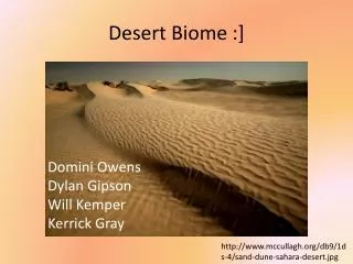 Desert Biome :]