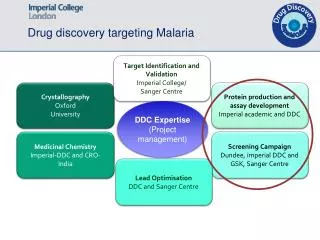 Drug discovery targeting Malaria