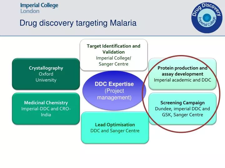 drug discovery targeting malaria