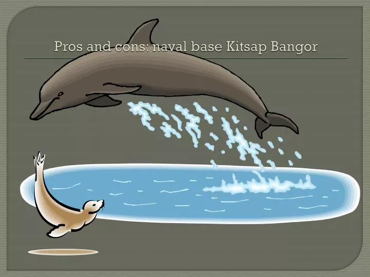 pros and cons naval base kitsap bangor