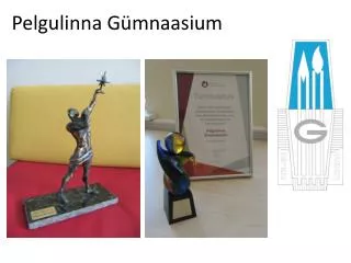 pelgulinna g mnaasium