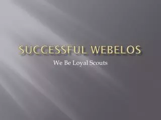 Successful Webelos