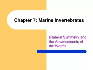 Chapter 7: Marine Invertebrates