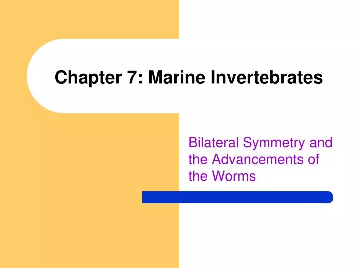 chapter 7 marine invertebrates