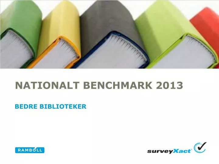 nationalt benchmark 2013