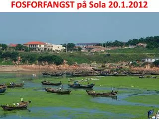 fosforfangst p sola 20 1 2012
