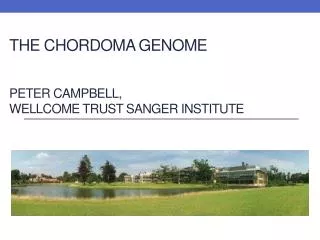 The chordoma genome Peter Campbell, Wellcome Trust Sanger Institute