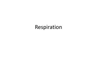 Respiration