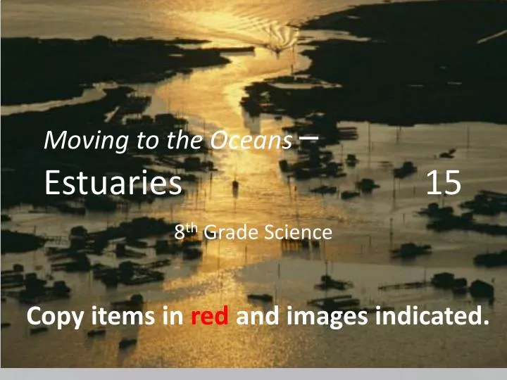 moving to the oceans estuaries 15