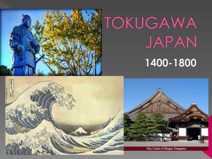 tokugawa japan