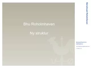 bhu roholmhaven ny struktur