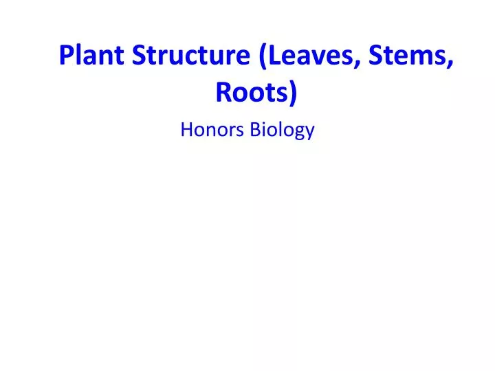 plant structure leaves stems roots