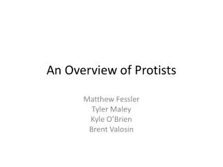 An Overview of Protists