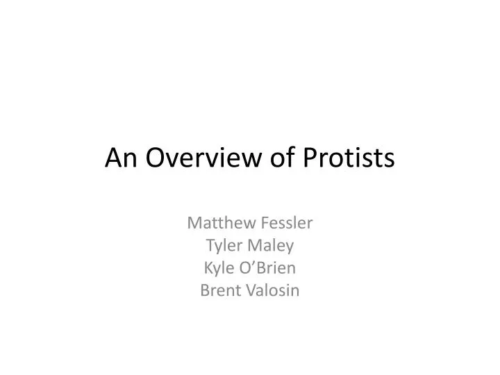 an overview of protists