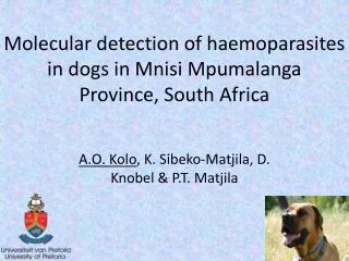 Molecular detection of haemoparasites in dogs in Mnisi Mpumalanga Province, South Africa