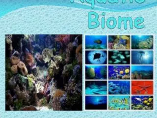 Aquatic Biome
