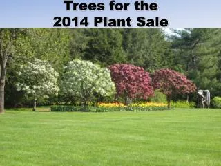 Trees for the 2014 Plant Sale