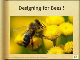 Designing for Bees !