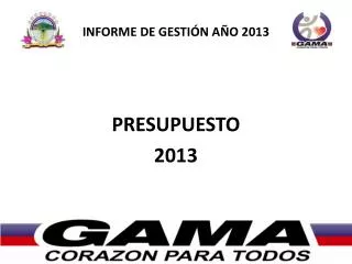informe de gesti n a o 2013