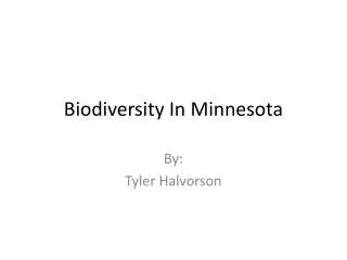 Biodiversity In Minnesota