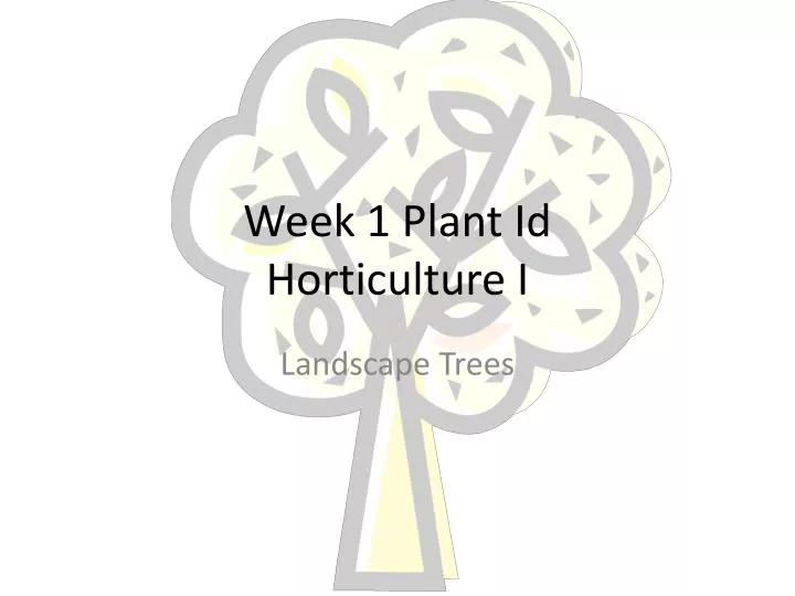 week 1 plant id horticulture i